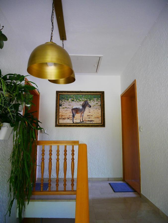 Ferienwohnung Eichkatzel Zell Exterior photo